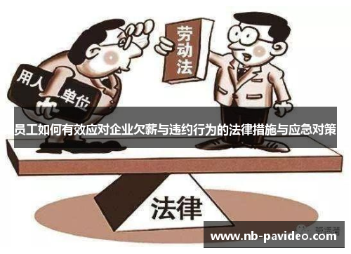 员工如何有效应对企业欠薪与违约行为的法律措施与应急对策
