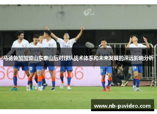马德鲁加加盟山东泰山后对球队战术体系和未来发展的深远影响分析